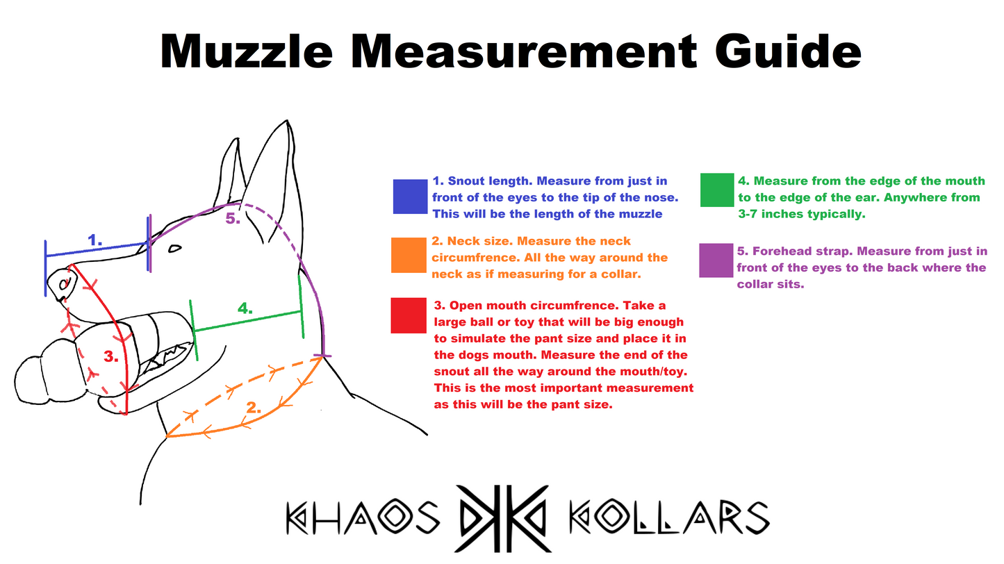Basket Style Biothane Muzzle - Choose your Colors - Level Three