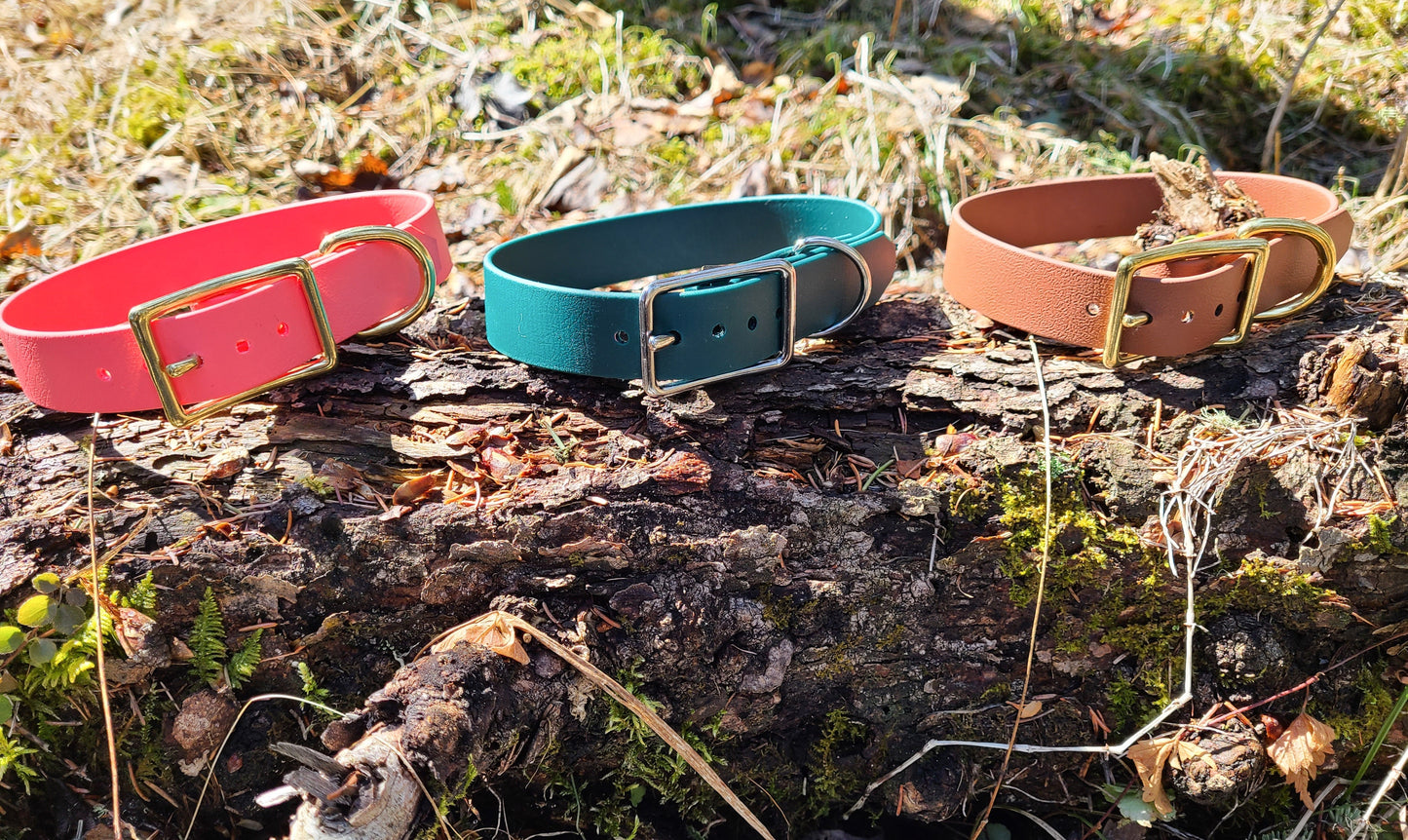 Biothane Dog Collar - Waterproof - 1 inch