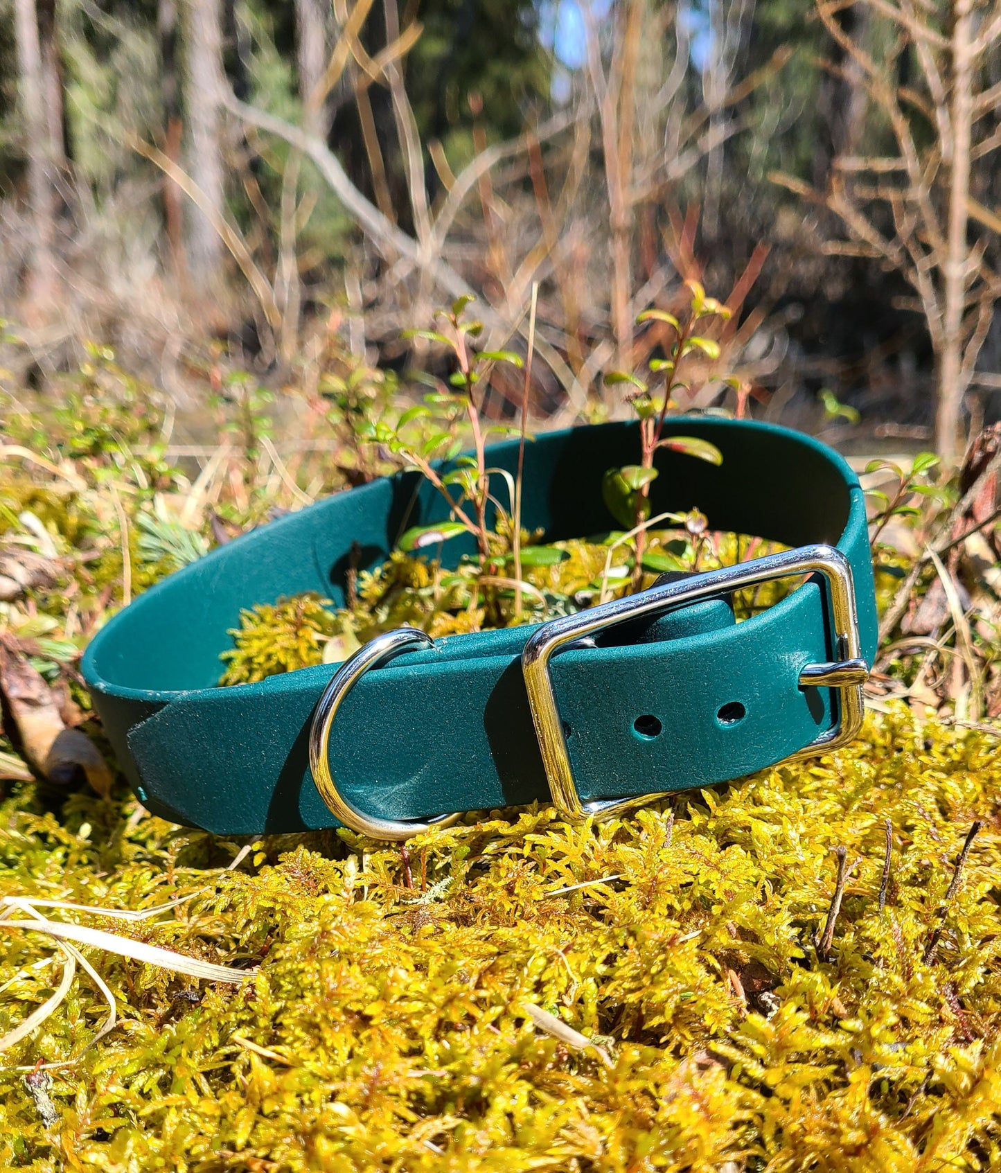 Biothane Dog Collar - Waterproof - 1 inch