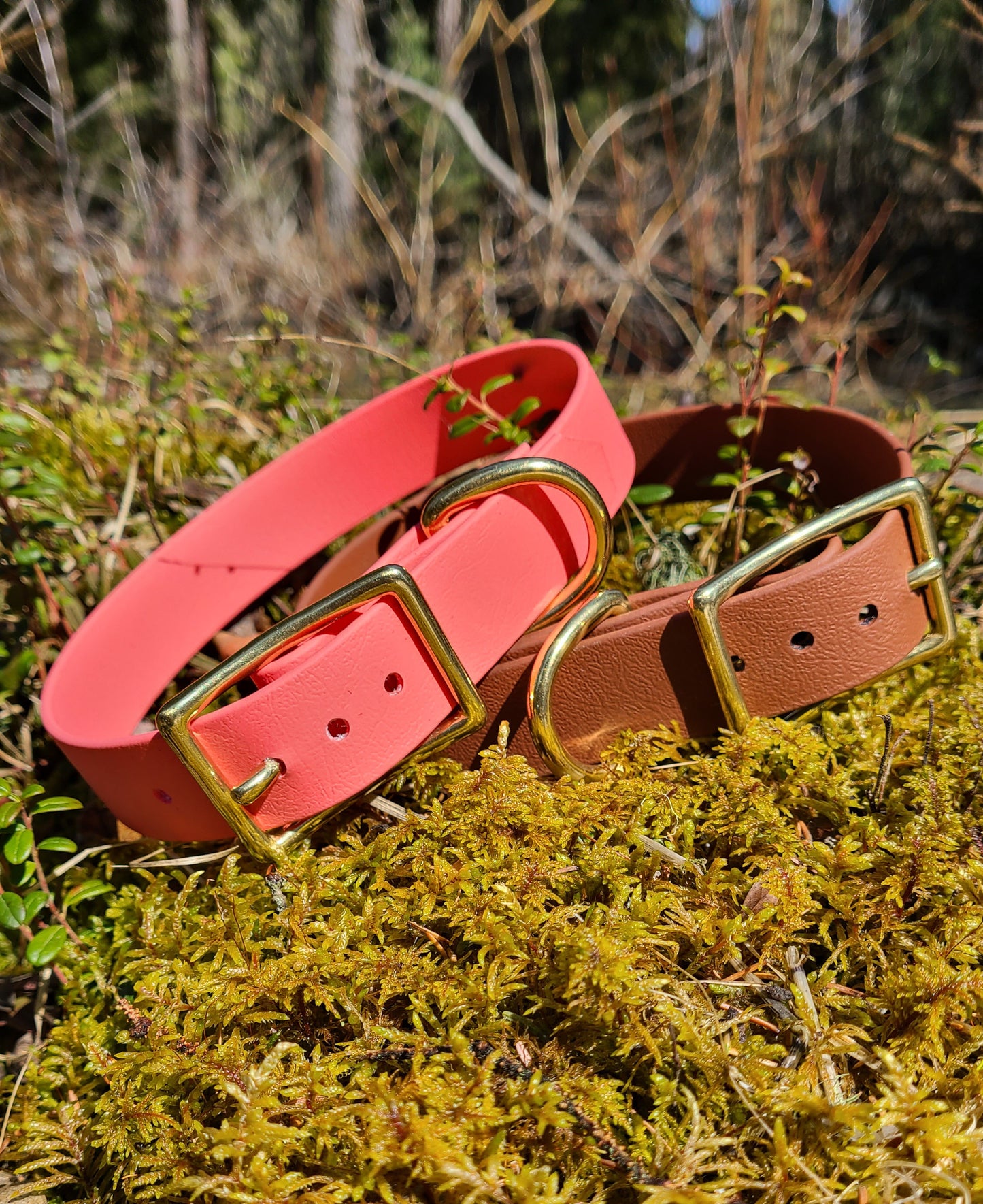Biothane Dog Collar - Waterproof - 1/2 inch