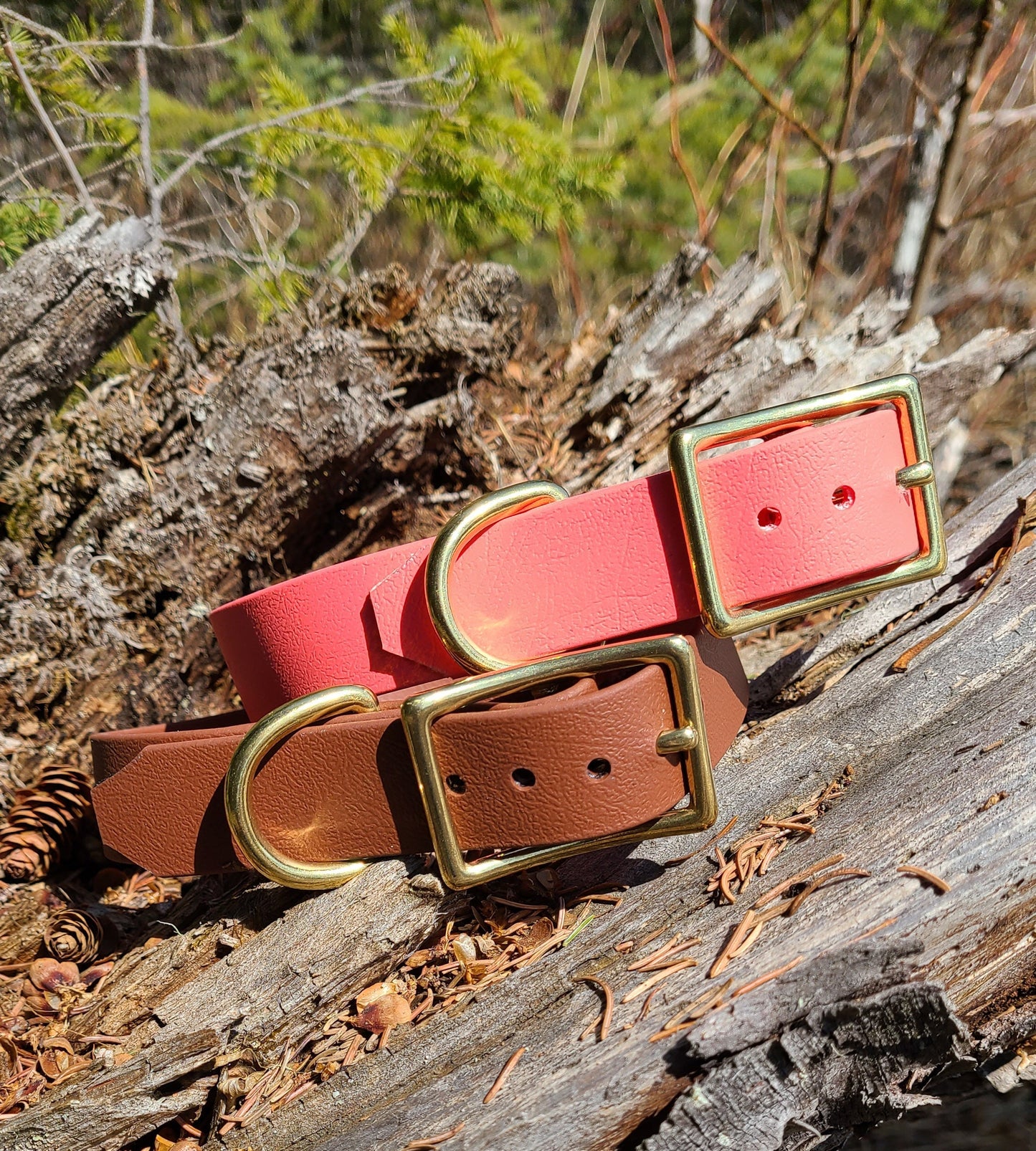 Biothane Dog Collar - Waterproof - 1 inch