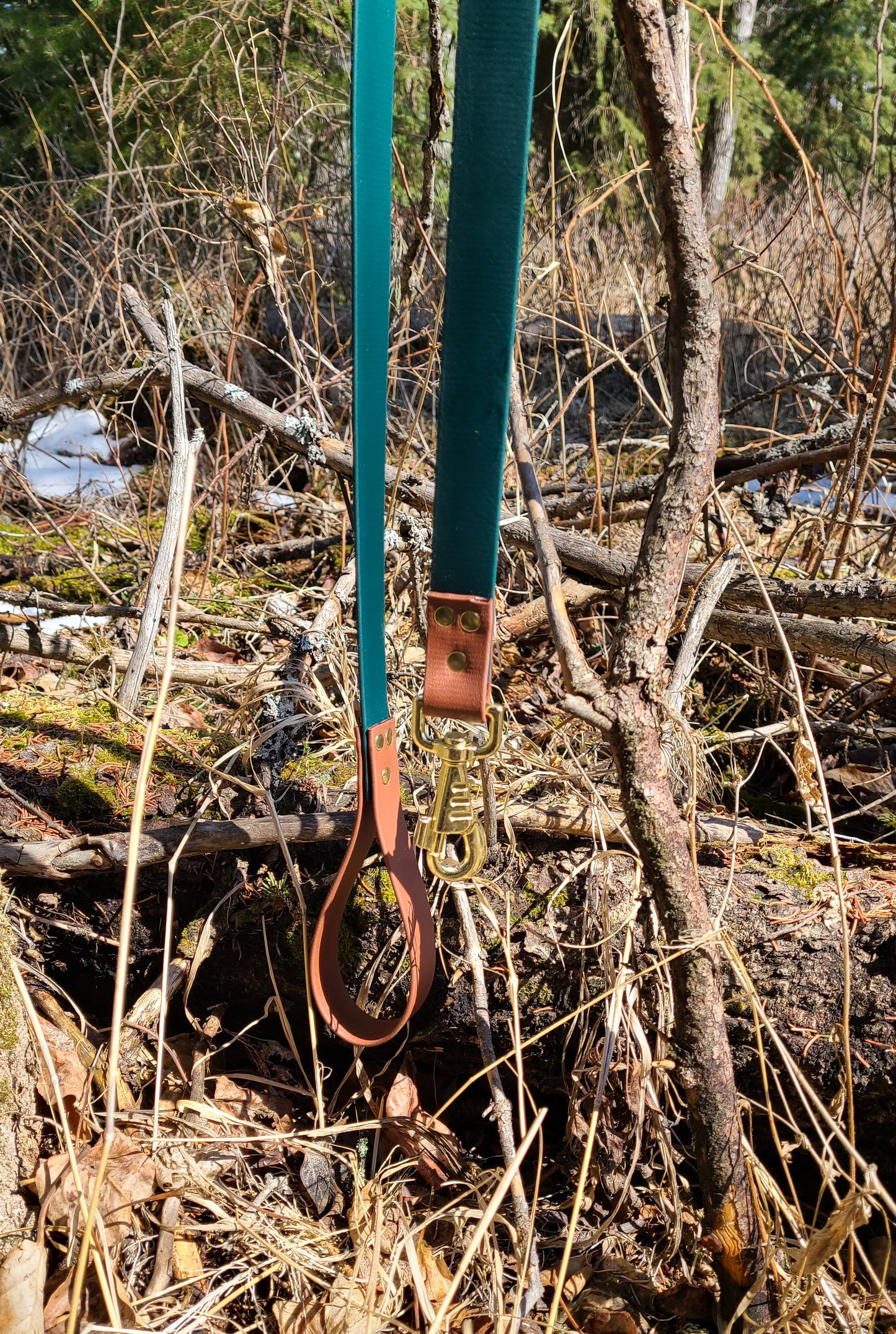 Biothane Leash - Two tone - Waterproof - 1/2 inch Active