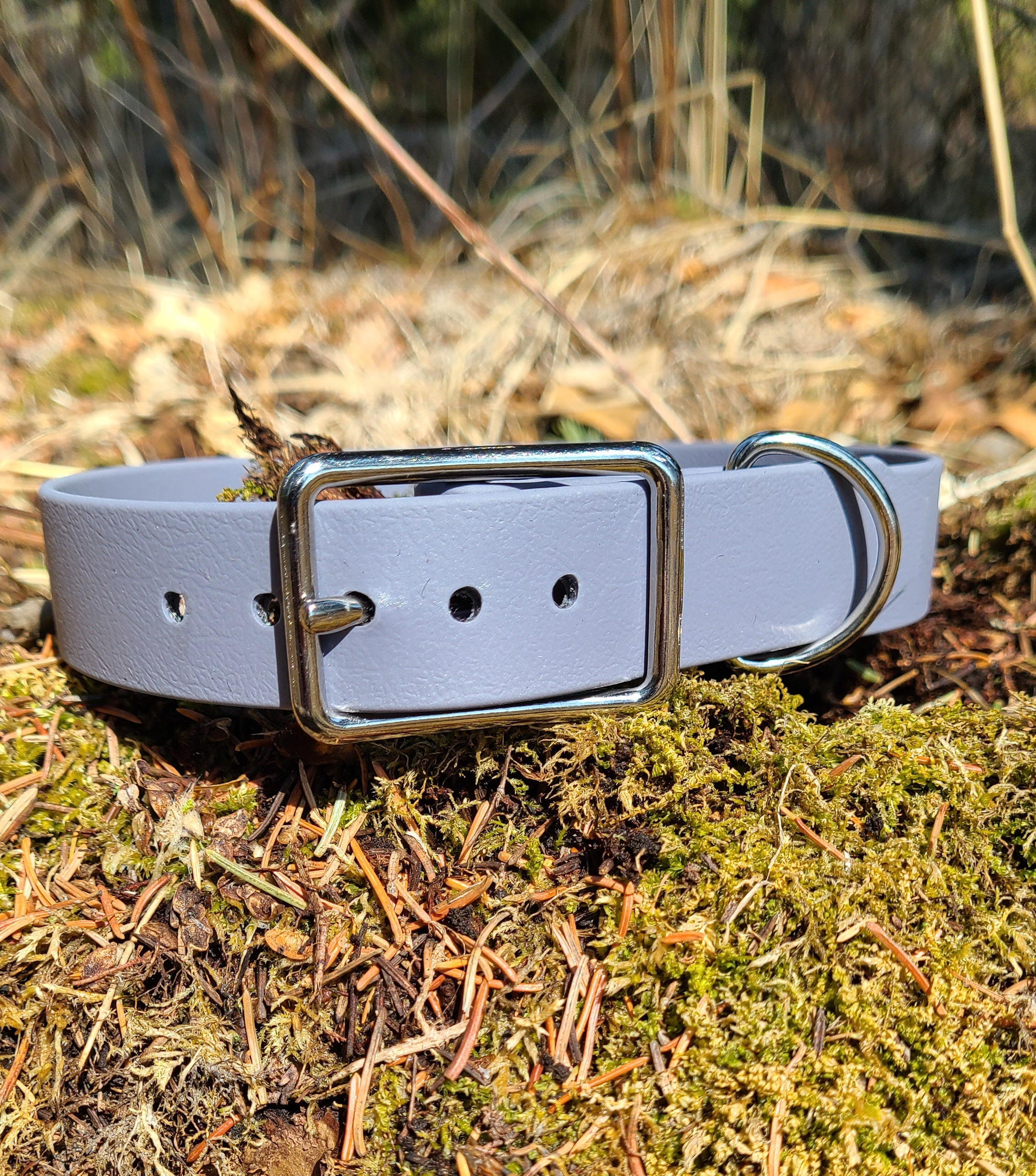 Biothane Dog Collar - Waterproof - 1 inch – Khaos Kollars