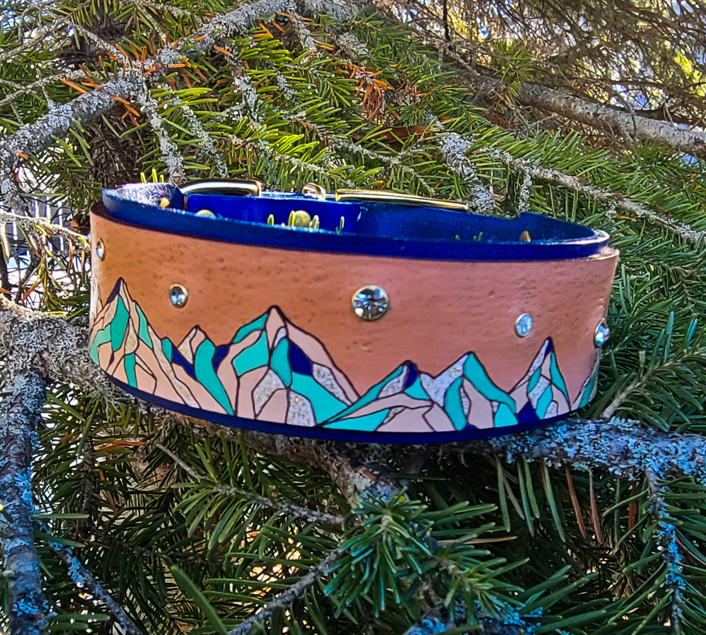 Mountain Sparkle Leather Panel Collar