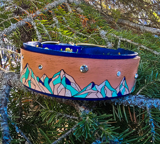 Mountain Sparkle Leather Panel Collar