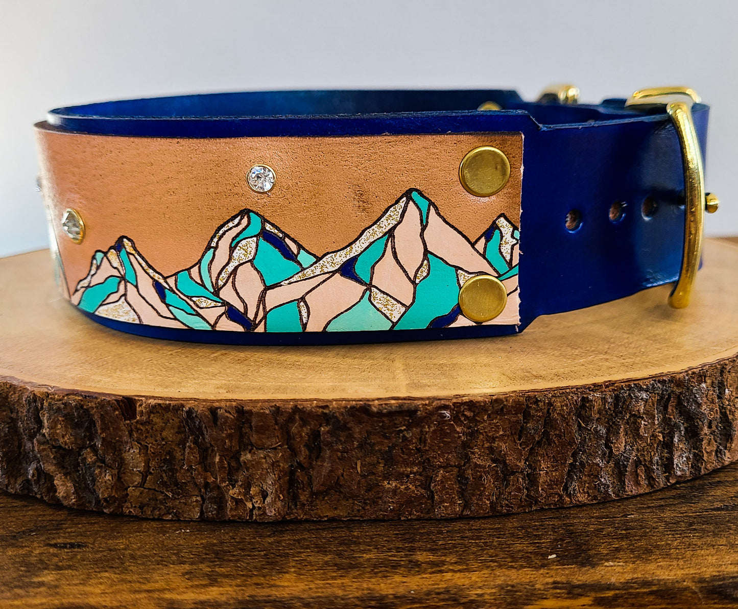 Mountain Sparkle Leather Panel Collar