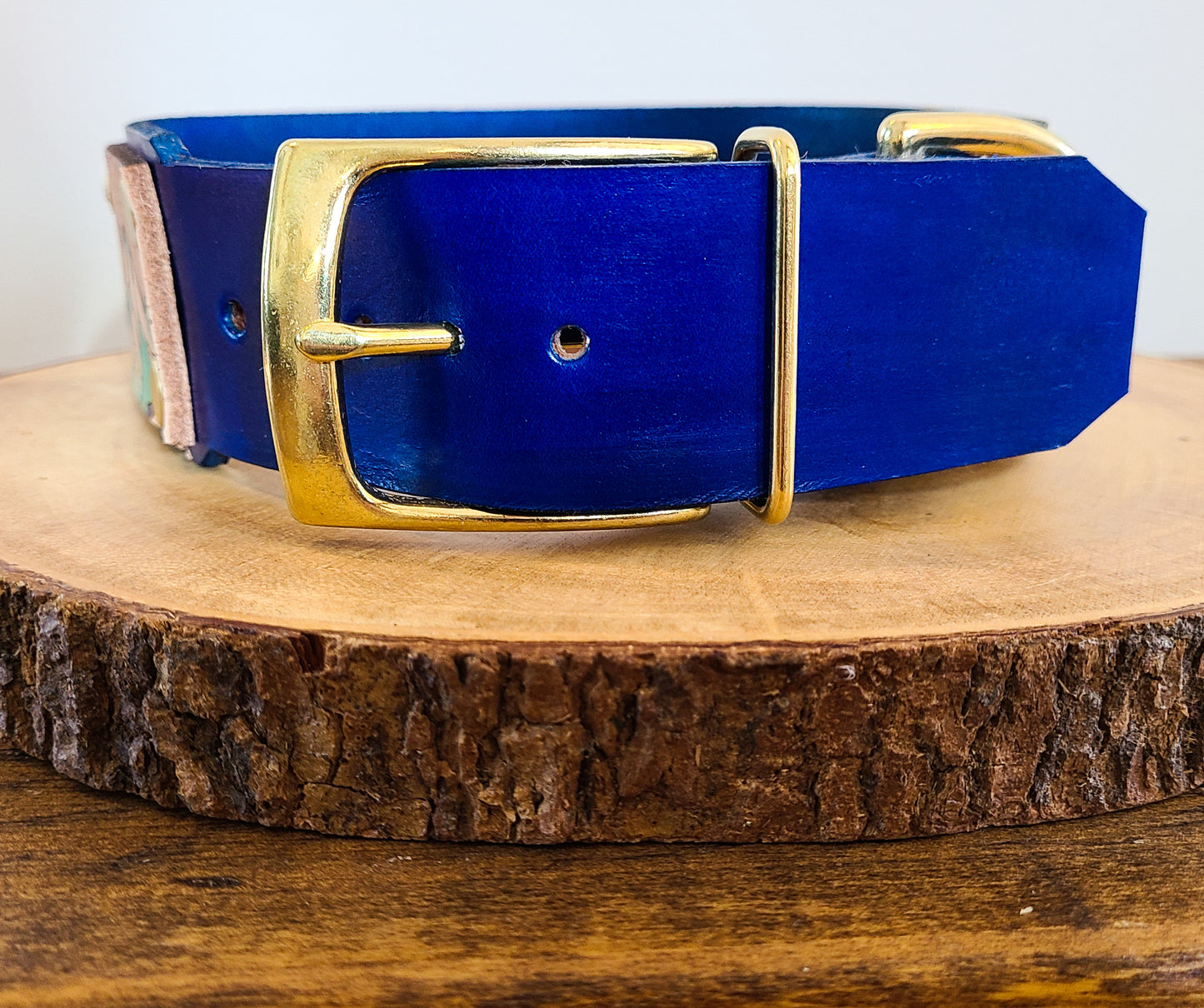 Mountain Sparkle Leather Panel Collar