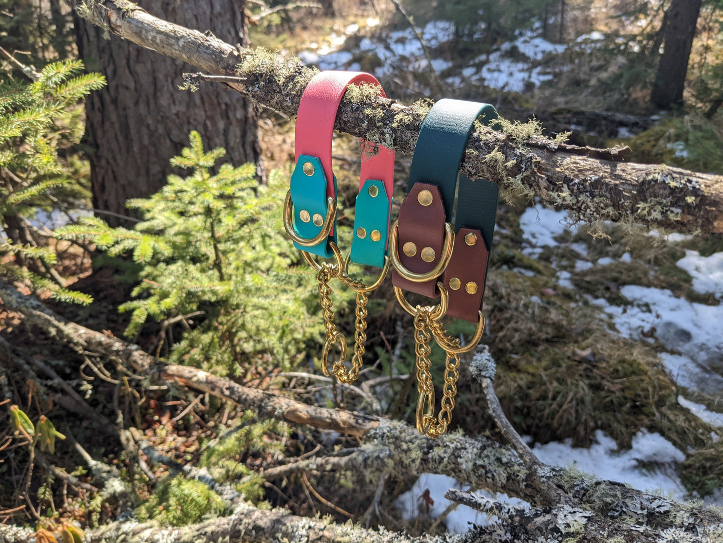 Biothane Martingale Dog Collar - Two Tone - Waterproof - 3/4 inch