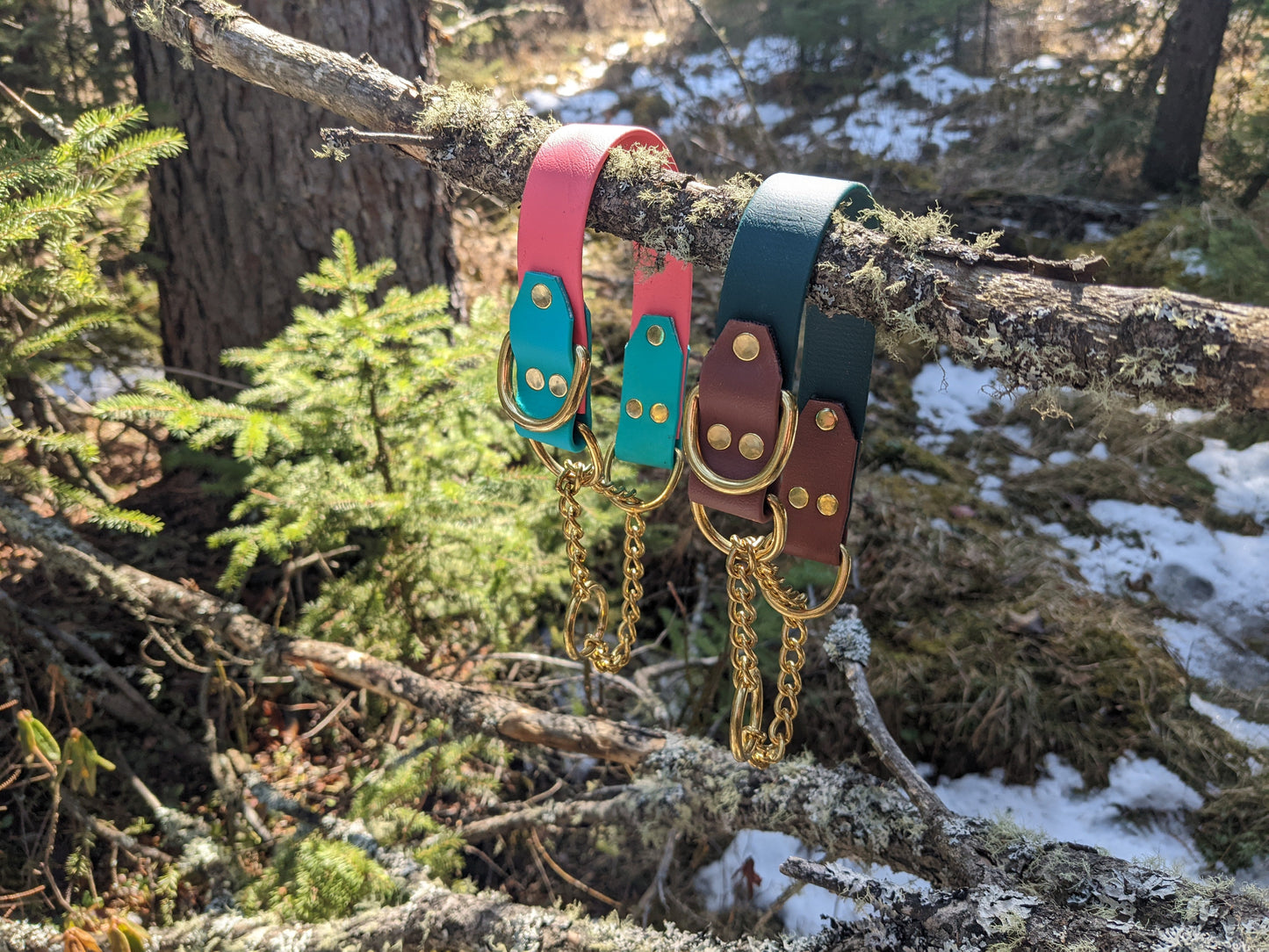 Biothane Martingale Dog Collar - Two Tone - Waterproof - 1 inch