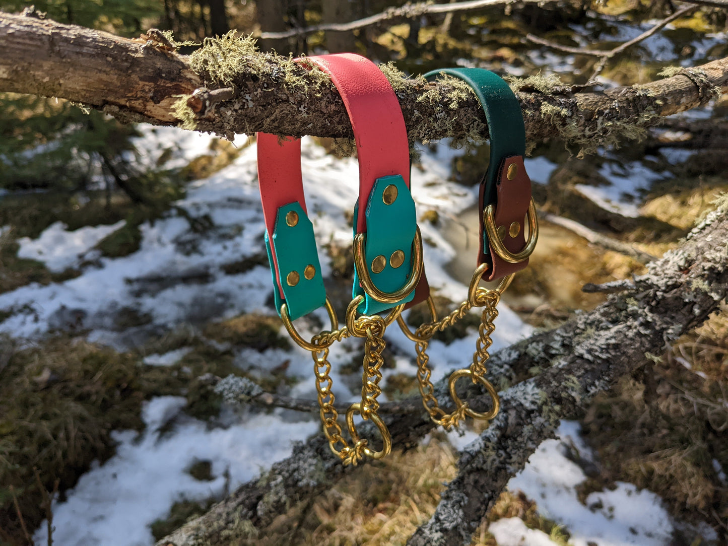 Biothane Martingale Dog Collar - Two Tone - Waterproof - 1 inch