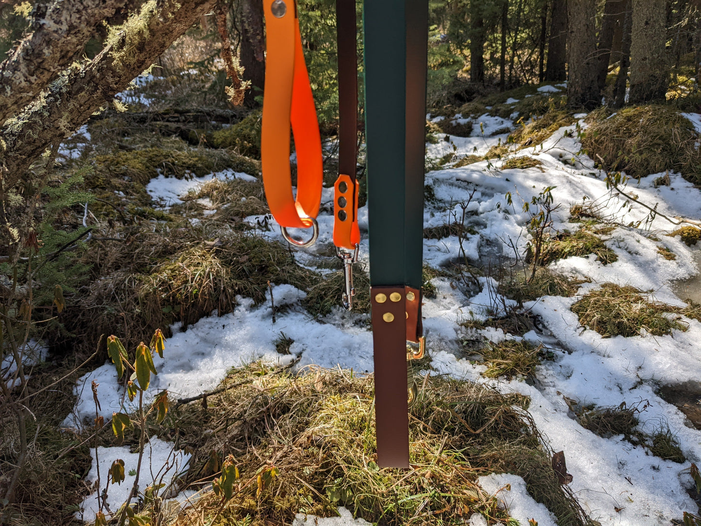 Biothane Leash - Two tone - Waterproof - 1 inch