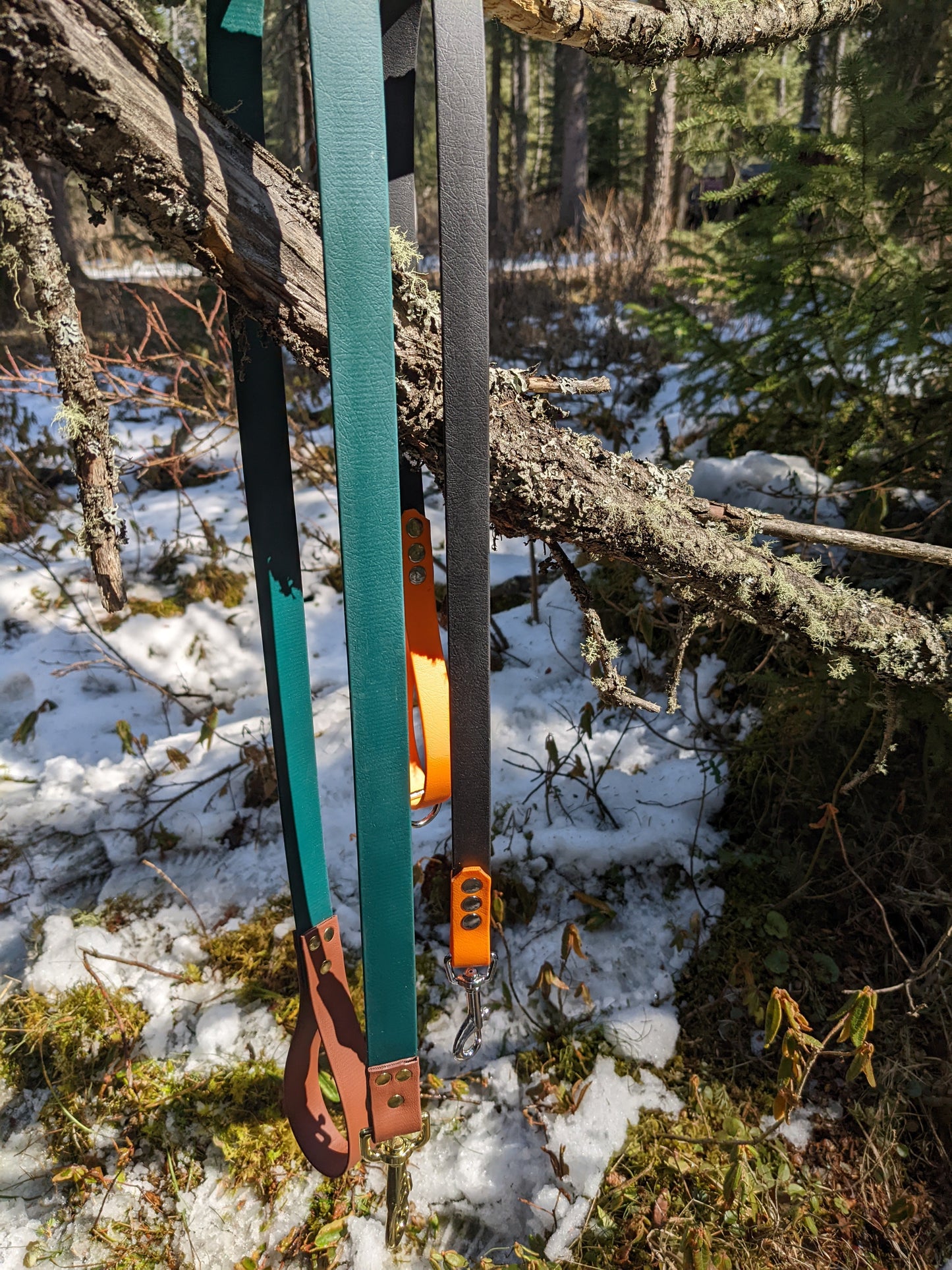 Biothane Leash - Two tone - Waterproof - 1 inch