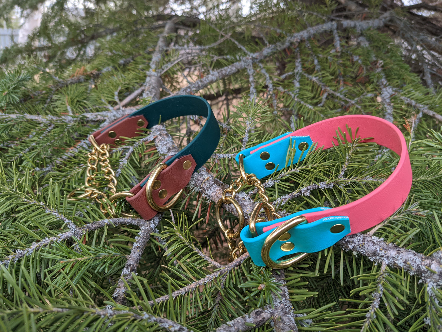 Biothane Martingale Dog Collar - Two Tone - Waterproof - 3/4 inch