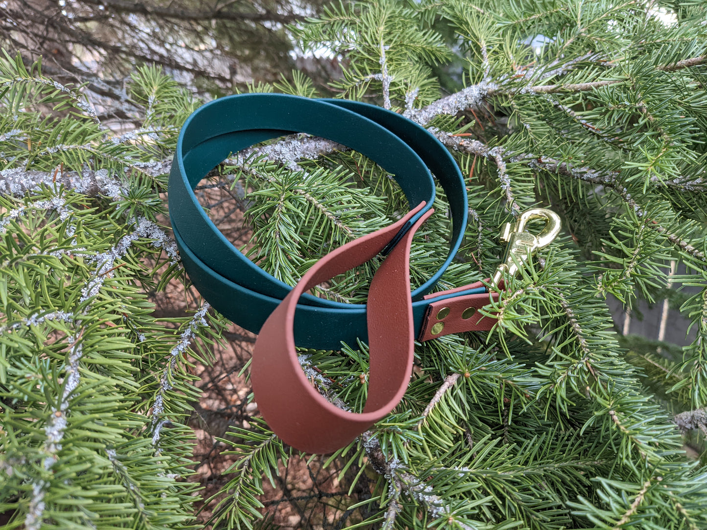 Biothane Leash - Two tone - Waterproof - 1/2 inch Active