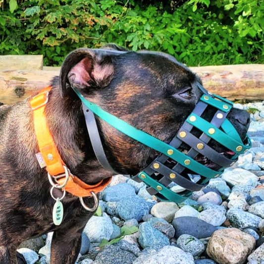 Basket Style Biothane Muzzle with Open Nose plus Forehead strap - Choose your Colors - Level Two
