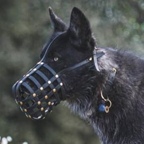 Basket Style Biothane Muzzle with Forehead strap - Choose your Colors - Level One