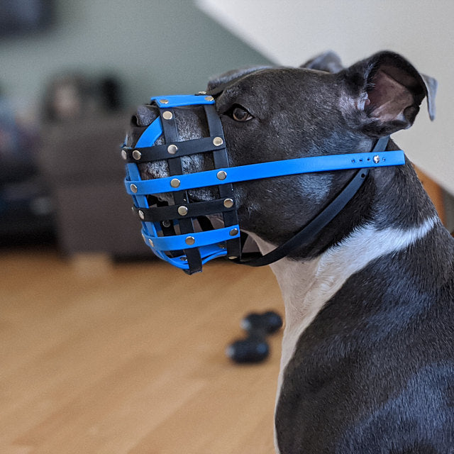 Basket Style Biothane Muzzle with Open Nose plus Forehead strap - Choose your Colors - Level one