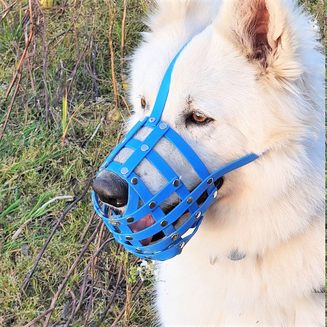 Basket Style Biothane Muzzle with Open Nose plus Forehead strap - Choose your Colors - Level one