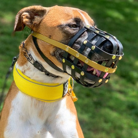 Basket Style Biothane Muzzle - Choose your Colors - Level One