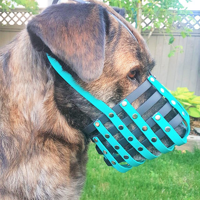 Basket Style Biothane Muzzle - Choose your Colors - Level Two