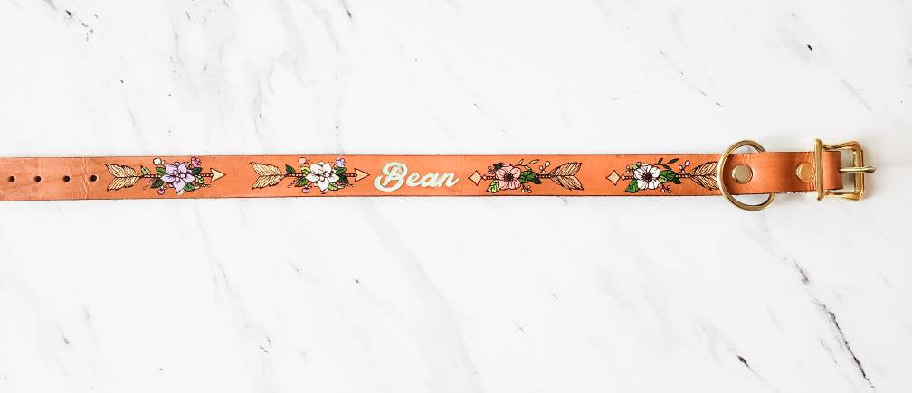 Planted Arrow - Leather Dog Collar