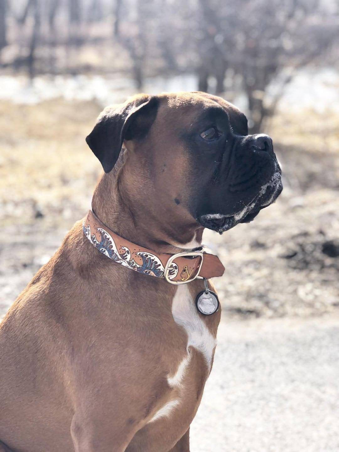 Ukiyo-e Wave - Leather Dog Collar