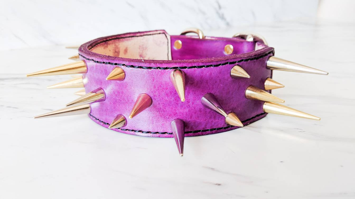 The Spike - Leather Dog Collar