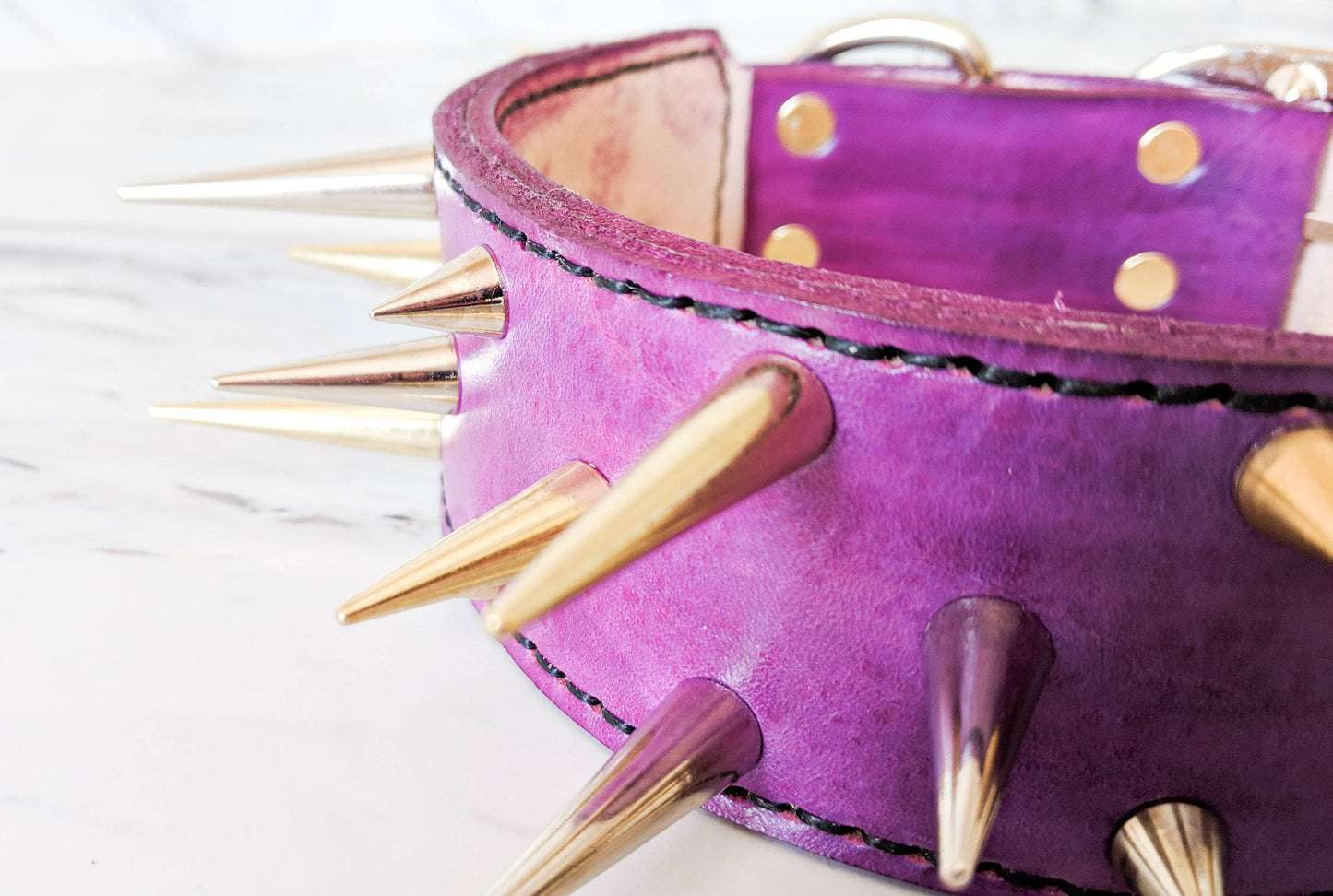 The Spike - Leather Dog Collar