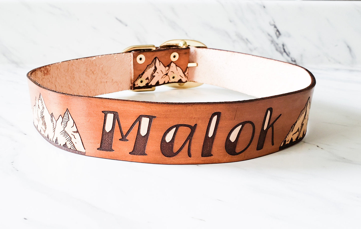 The Rockies - Leather Dog Collar