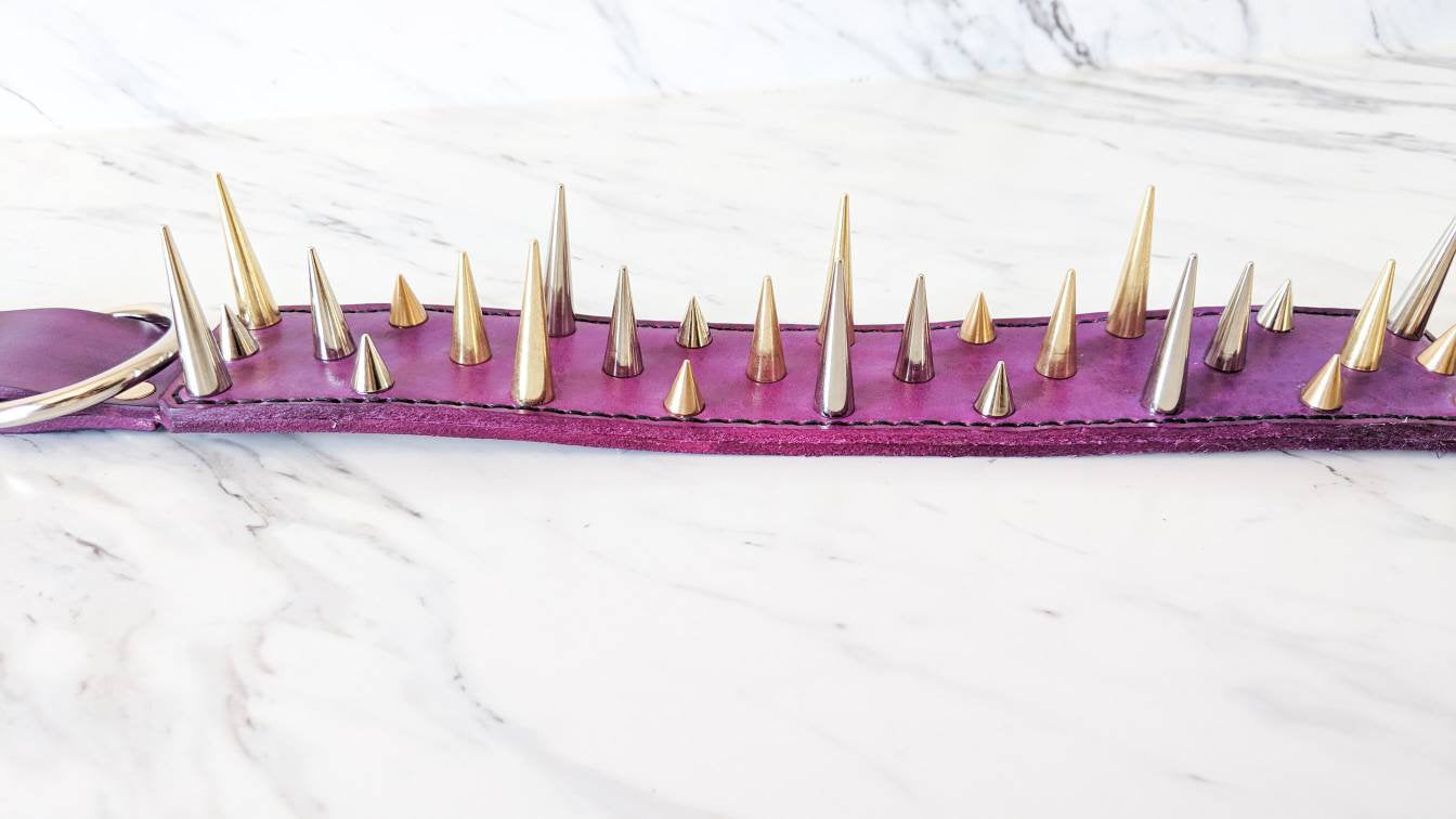 The Spike - Leather Dog Collar