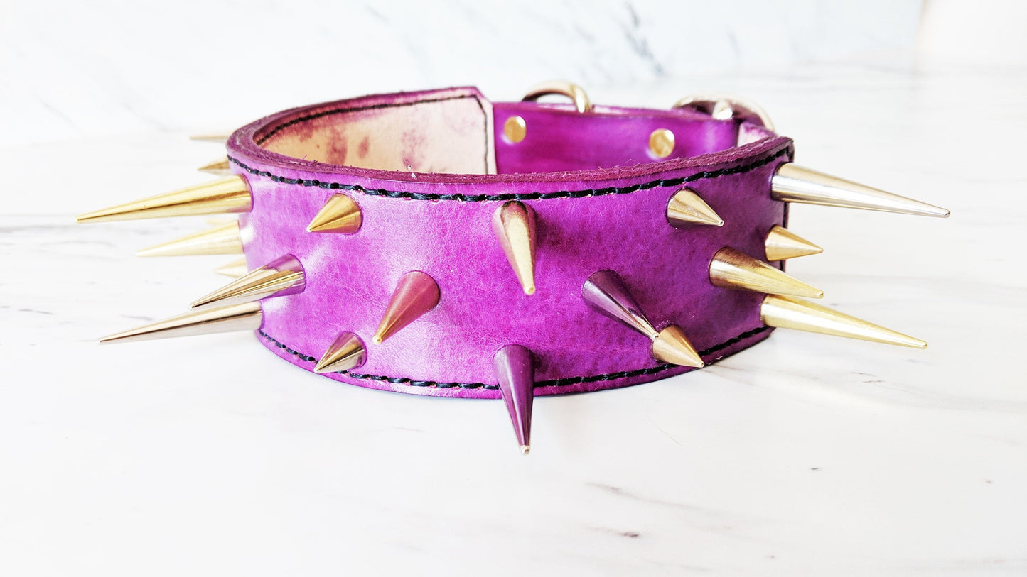 The Spike - Leather Dog Collar