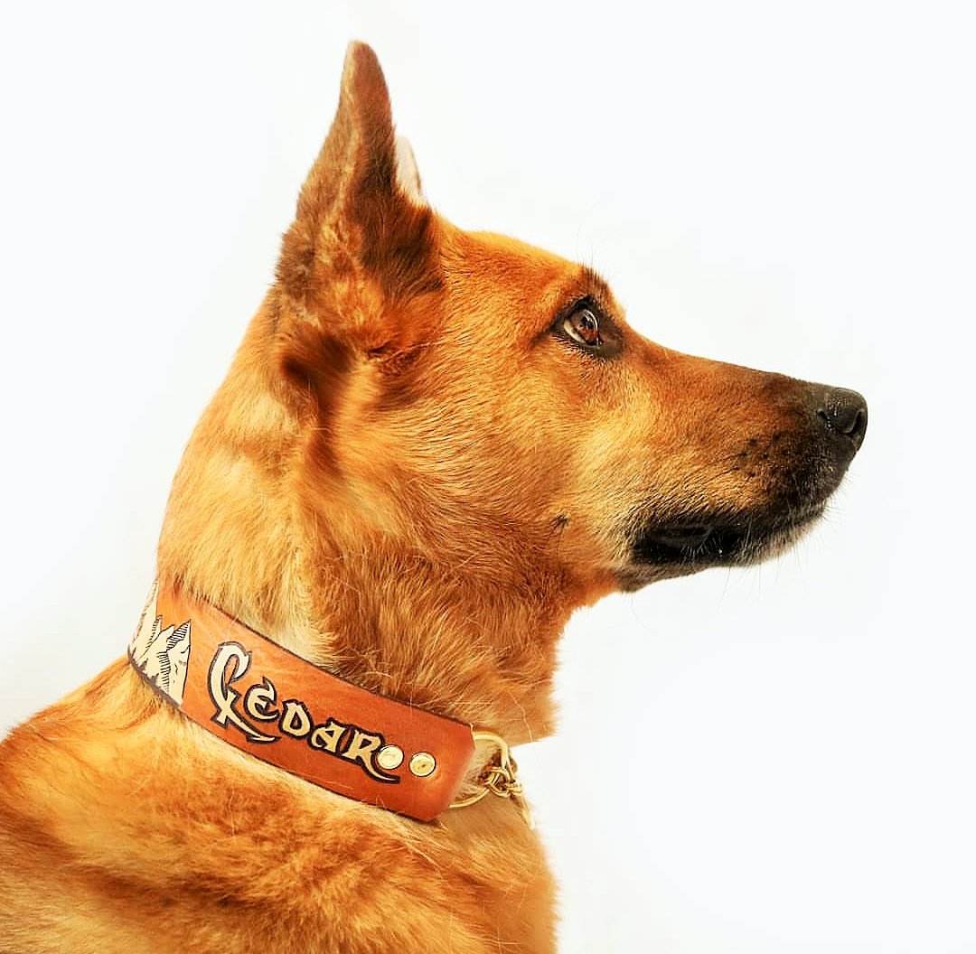 The Rockies - Leather Martingale Collar