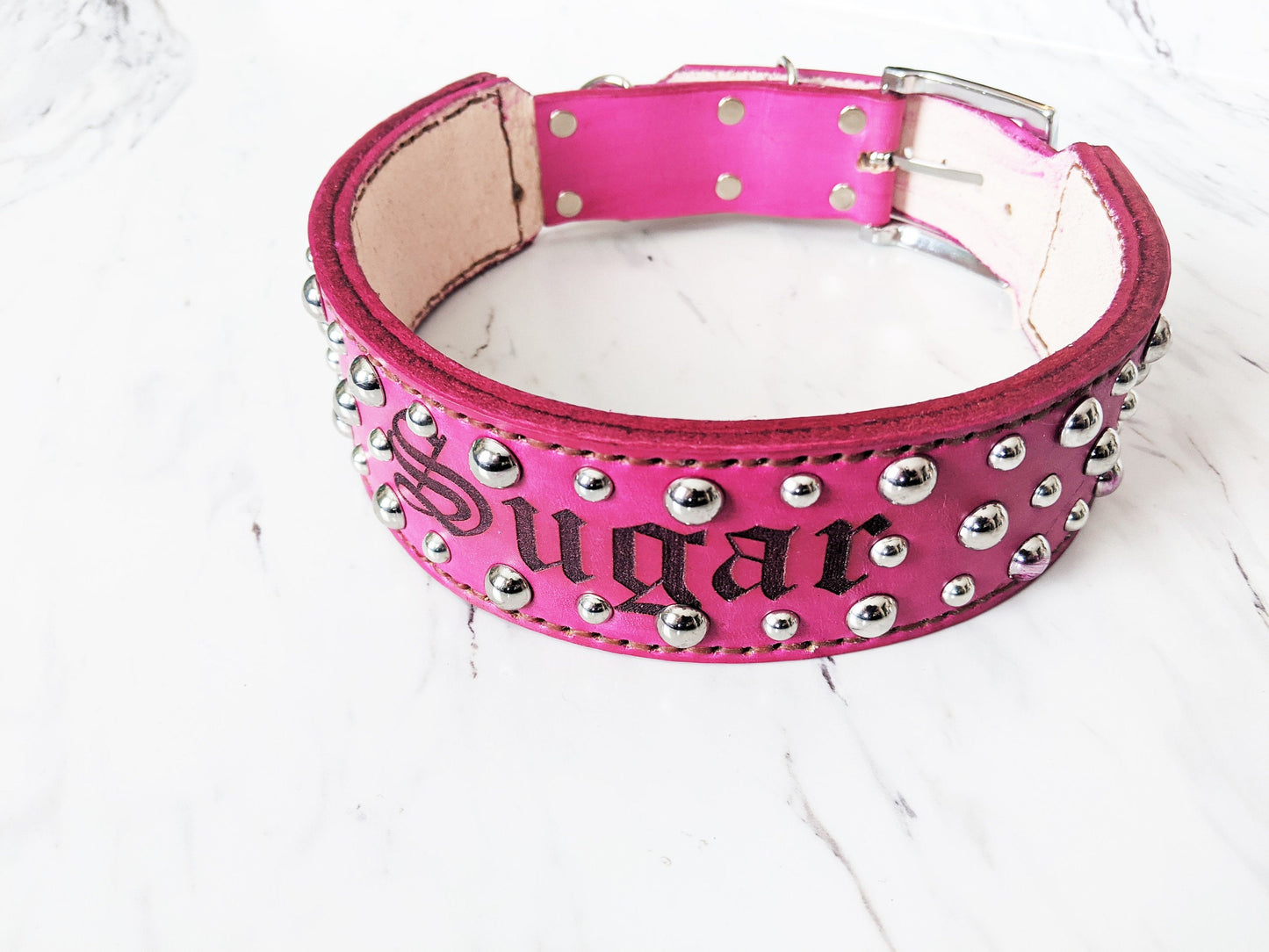 Colorful Stud - Leather Dog Collar