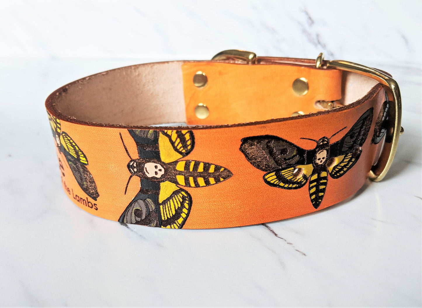 Death Head Eclipse - Leather Dog Collar