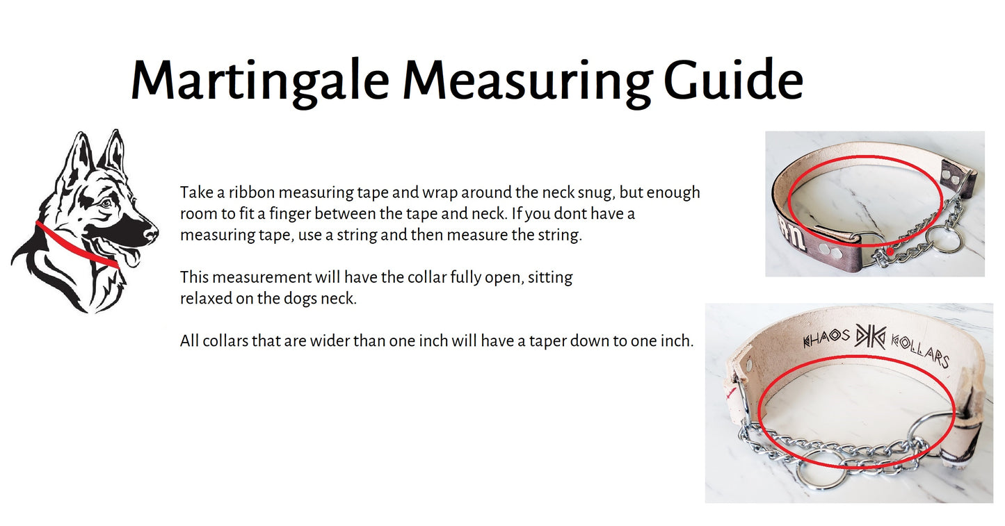 Cretaceous Legends- Leather Martingale Dog Collar