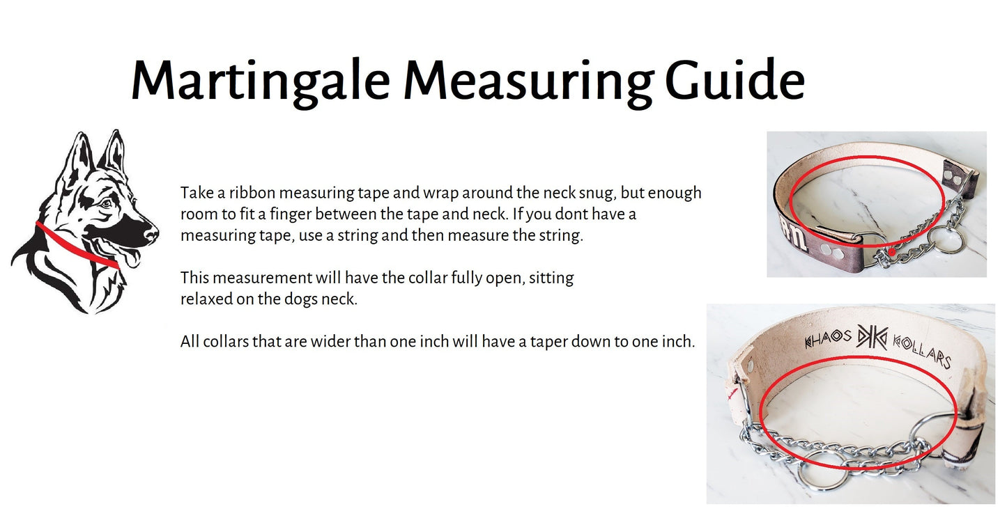 Biothane Martingale Dog Collar - Two Tone - Waterproof - 1 inch